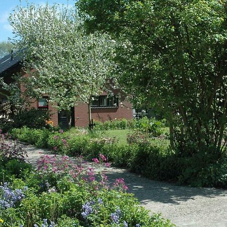 Gastenverblijf Op het Graveland Zevenhuizen  Buitenkant foto