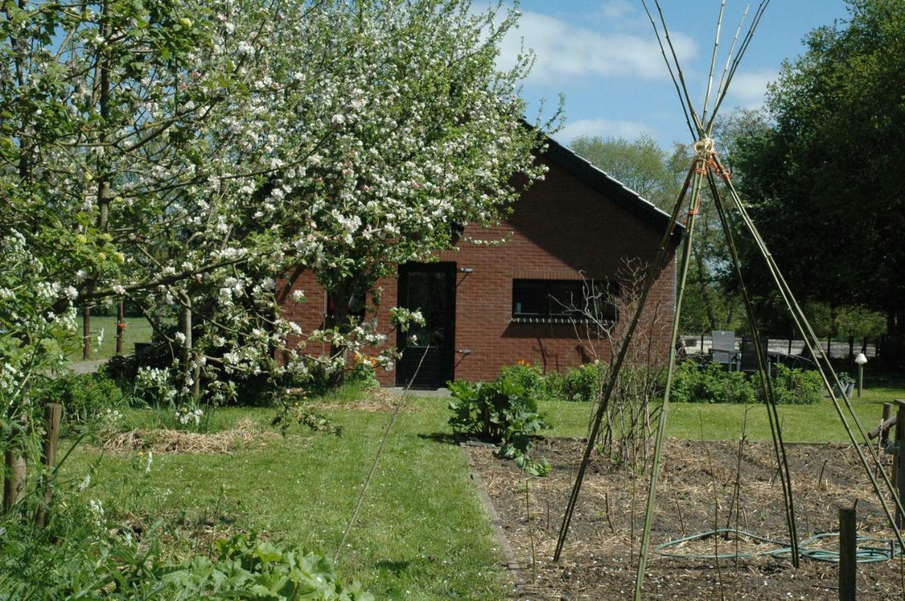 Gastenverblijf Op het Graveland Zevenhuizen  Buitenkant foto