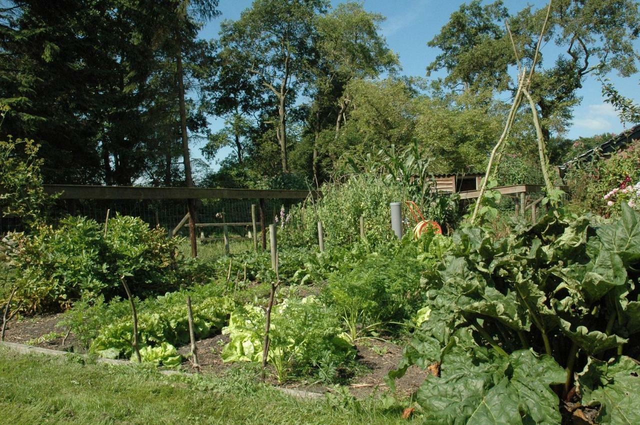 Gastenverblijf Op het Graveland Zevenhuizen  Buitenkant foto