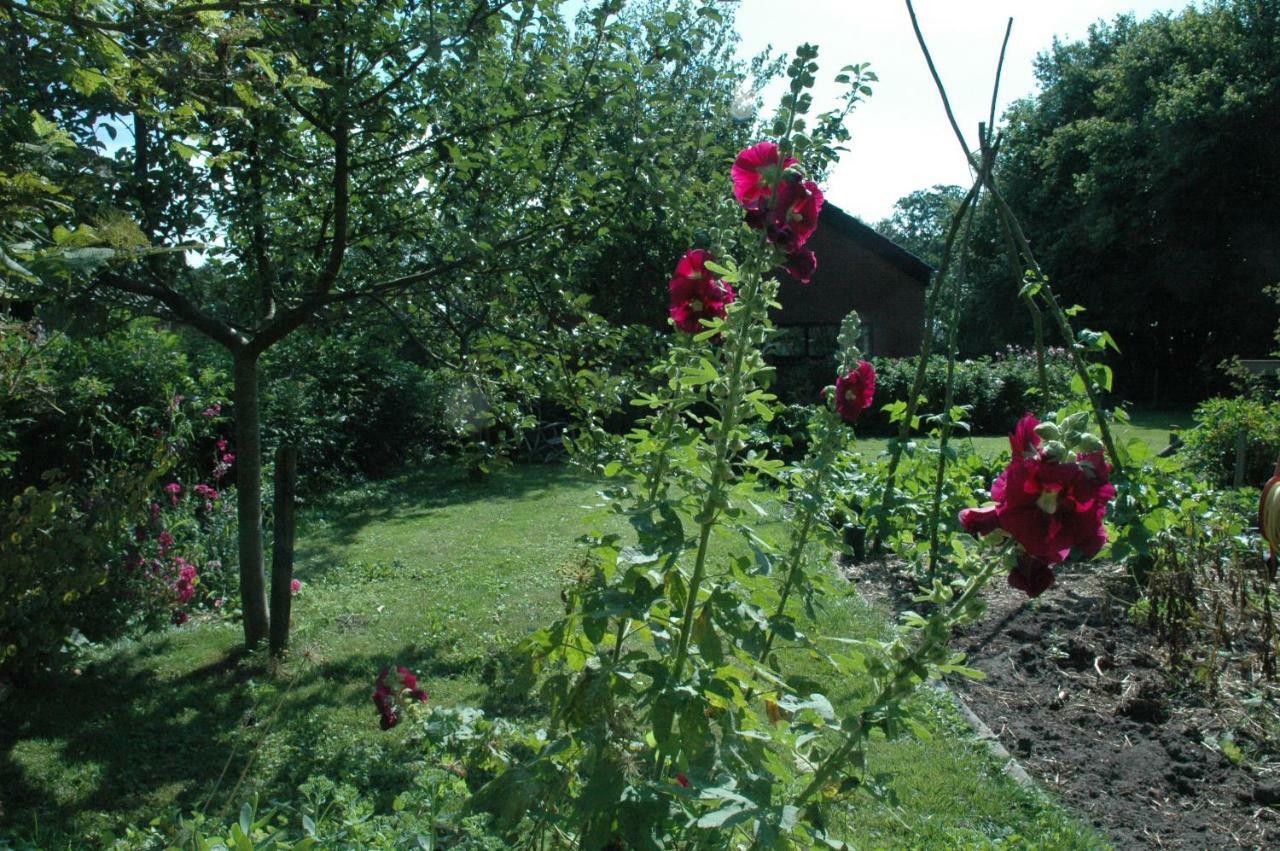 Gastenverblijf Op het Graveland Zevenhuizen  Buitenkant foto