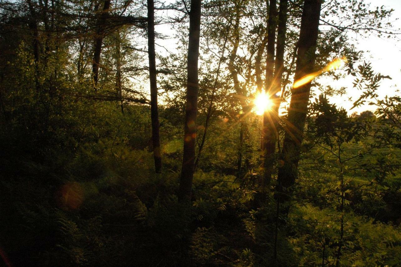 Gastenverblijf Op het Graveland Zevenhuizen  Buitenkant foto