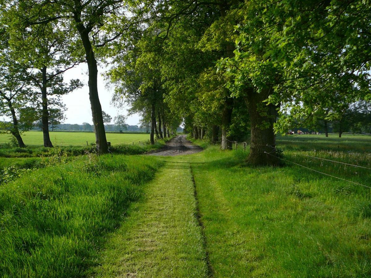 Gastenverblijf Op het Graveland Zevenhuizen  Buitenkant foto